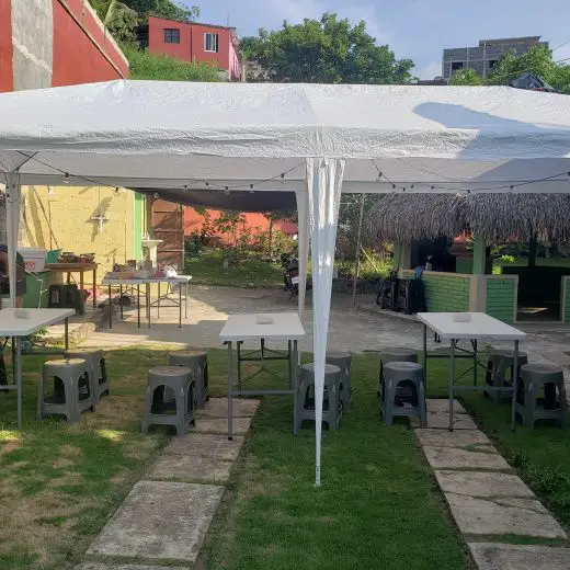 palapa 1