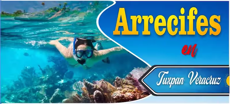 Buceo en el Sistema Arrecifal Lobos-Tuxpan Veracruz, atractivo turístico para snorkel y aventura.