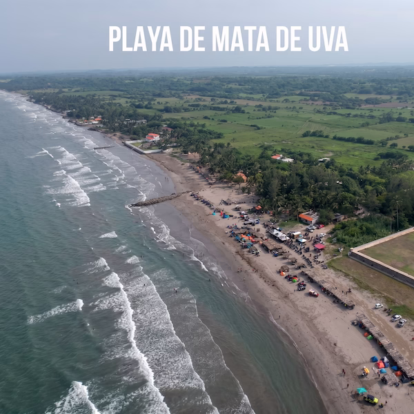 Vista aérea de Playa Mata de Uva en Alvarado, Veracruz, mostrando la línea de costa con rompeolas pequeños, palapas rústicas y vegetación abundante.