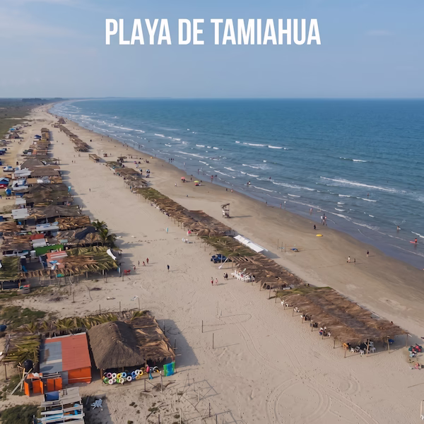 Panorámica aérea de la Playa de Tamiahua, Veracruz, mostrando las palapas tradicionales y la extensa franja de arena frente al Golfo de México.