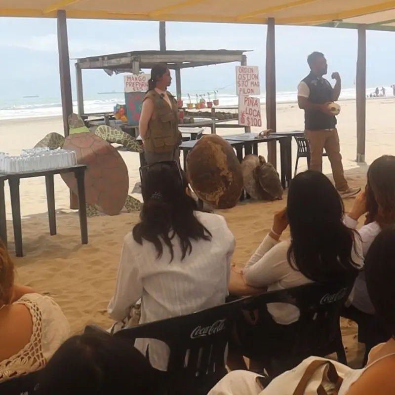 Guía del Campamento Tortuguero Mar de Plata de espaldas portando un chaleco con el logotipo oficial, mientras gesticula explicando las reglas de conservación a un grupo de turistas con sombreros en Tuxpan, Veracruz.