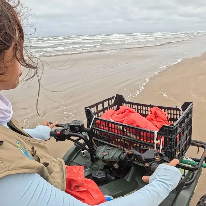 Voluntaria del Campamento Tortuguero Mar de Plata conduciendo una cuatrimoto durante un patrullaje de vigilancia en la orilla de las playas de Tuxpan, Veracruz, buscando rastros de tortugas marinas.