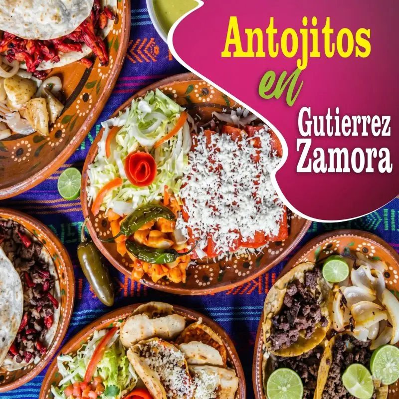 Variedad de antojitos mexicanos y veracruzanos como enchiladas con queso, tacos de carne asada y guarniciones