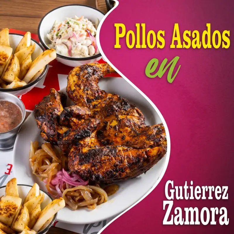 Pollo asado al carbón con papas a la francesa, ensalada y cebollitas asadas, representando los mejores pollos asados