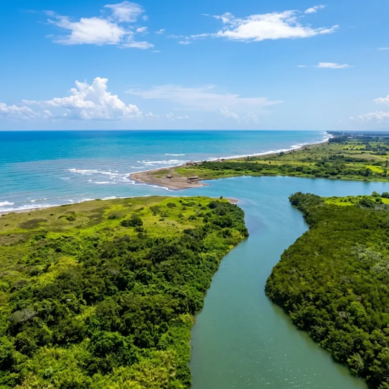 Vista aérea con dron de la desembocadura del río y los densos manglares verdes en Playa Rauda, Nautla, Veracruz, donde las aguas dulces se unen con el mar turquesa del Golfo de México, una experiencia natural de Alma Totonaca y Explora Veracruz.