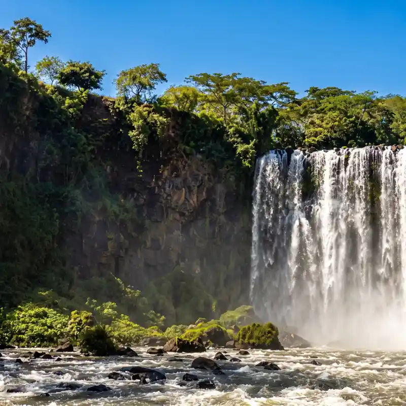 Vista detallada de la imponente caída de agua en la cascada Salto de Eyipantla, rodeada de abundante selva tropical, un destino clave de ecoturismo y aventura en Veracruz.