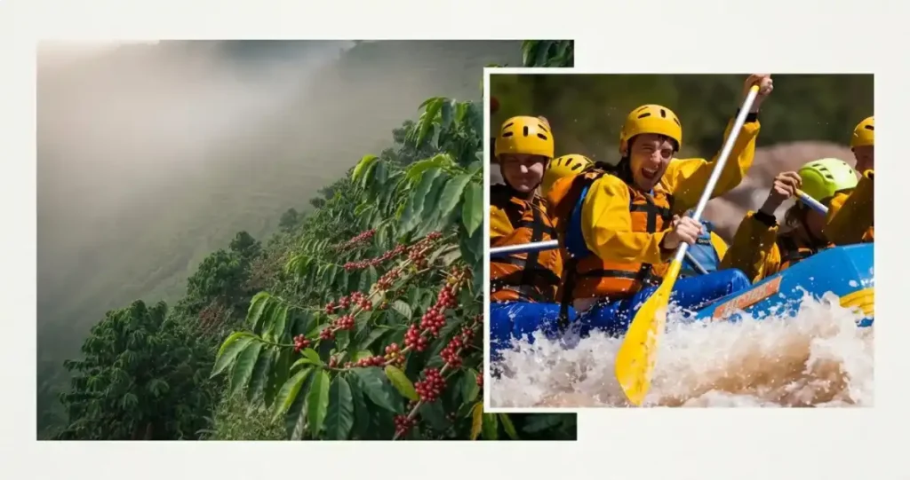 Composición fotográfica de cafetos con frutos rojos y turistas practicando rafting, representando la aventura y naturaleza en Alma de Niebla, Explora Veracruz