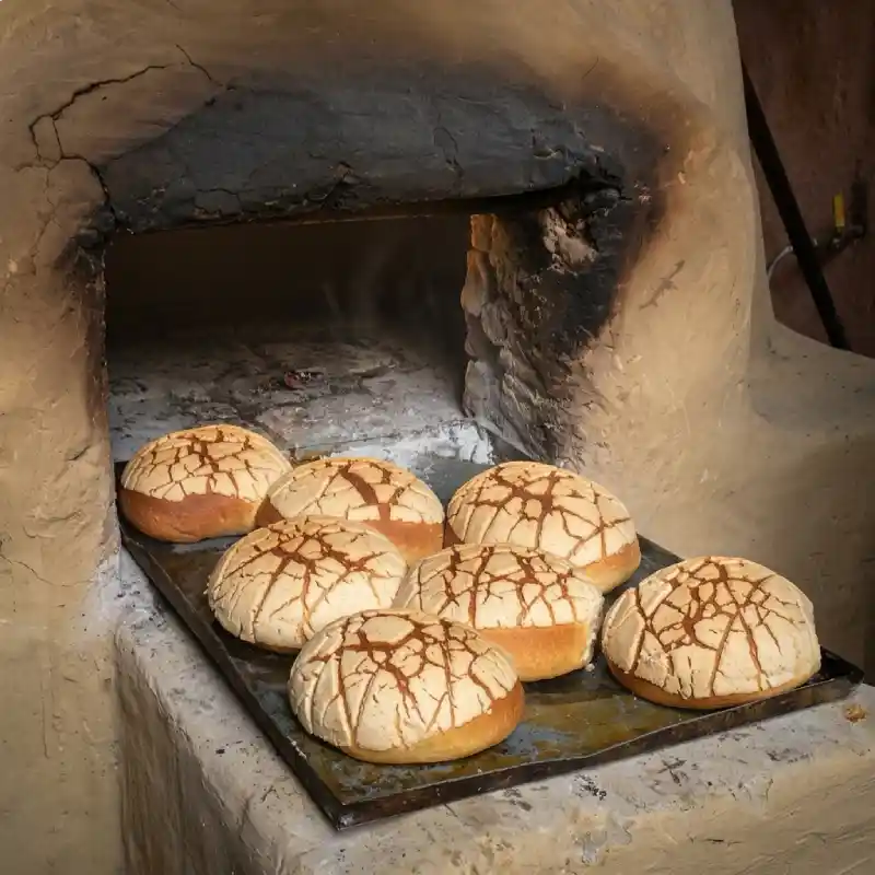 Pan artesanal recién horneado saliendo de un horno tradicional de barro en las cocinas de humo de Restaurante Nakú, legado del Alma Totonaca en Explora Veracruz.