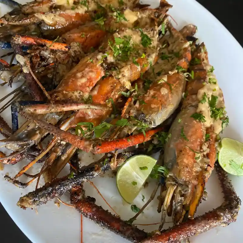 Platillo gourmet de acamayas de río preparadas al acuyo con hierbas aromáticas y cilantro fresco en Restaurante Nakú, especialidad marina del Alma Totonaca en Explora Veracruz.